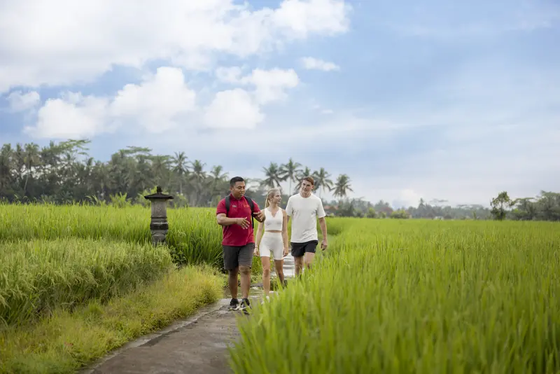 Rice Paddy Trekking