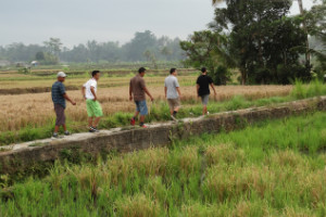 Onje Bali Experience Package