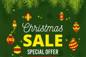 Christmas Package with Lunch or Dinner (Benefits for Min 2N stay) - Stay period December 20th – 26th, 2025